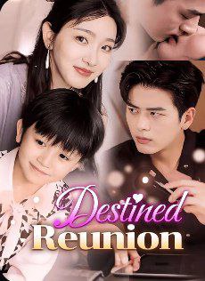 Destined Reunion